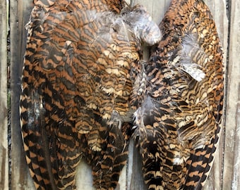 Monarch Woodcock Wings