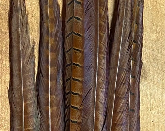 UK Center Rooster Pheasant Tails