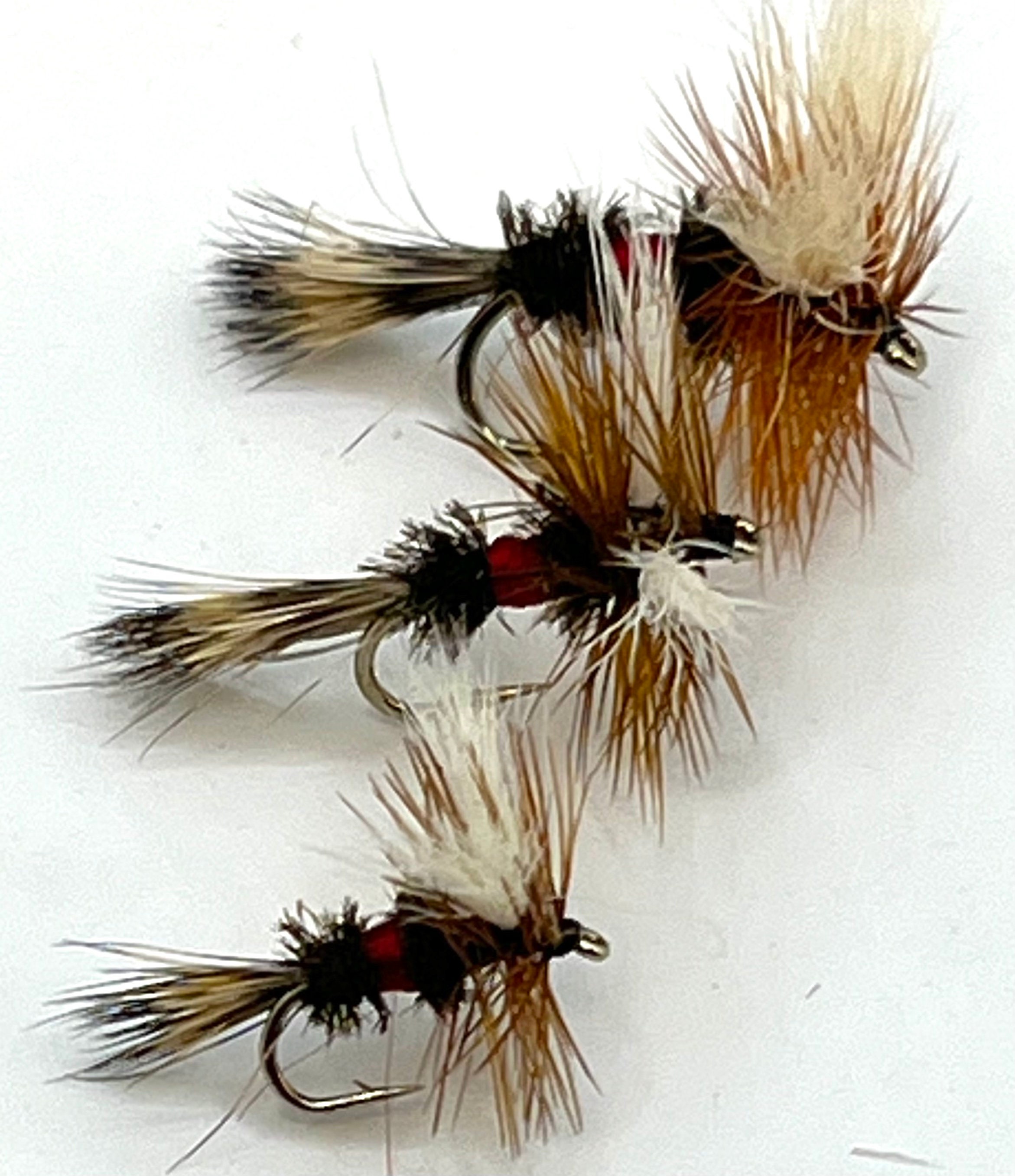 24 Pcs Hair Wing Salmon Flies - Top Quality Trout & Saltwater Fly Fishing Lures, Assorted Colors