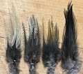 Authentic Spanish Coq De Leon  Saddle Hackle , Compare! Great Value !
