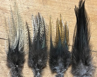 Äkta spansk Coq De Leon sadelhackle, jämför! Mycket prisvärt!