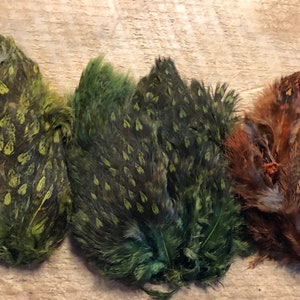 May include: Three feather pads in shades of green and brown. The feathers have a speckled pattern. The feathers are arranged on a wooden surface. The feathers are likely for crafting or fly tying.