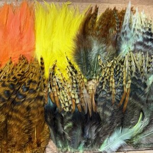 May include: A collection of colorful feathers in shades of orange, yellow, brown, and green. The feathers are arranged in a layered pattern, showcasing their varied textures and hues. Ideal for crafting or decorative purposes.