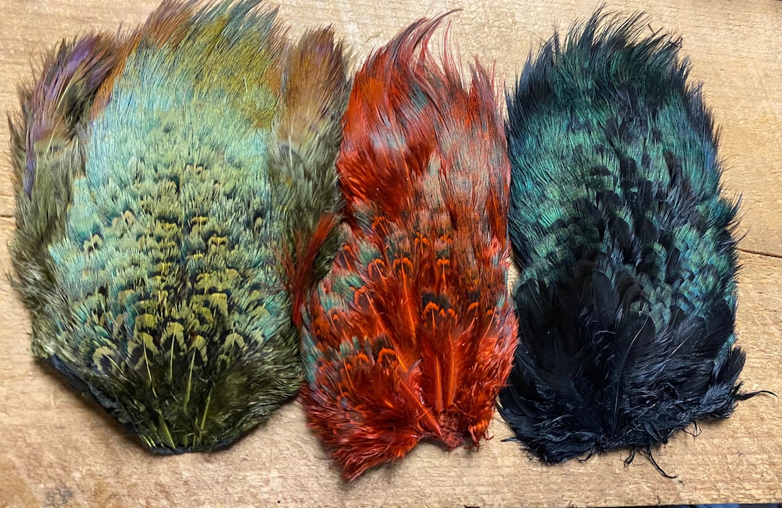 Pheasant Rump Patch: Church Pane Feathers, Natural and Dyed - Etsy