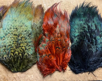 Pheasant Rump Patch: Church Pane Feathers, Natural and Dyed