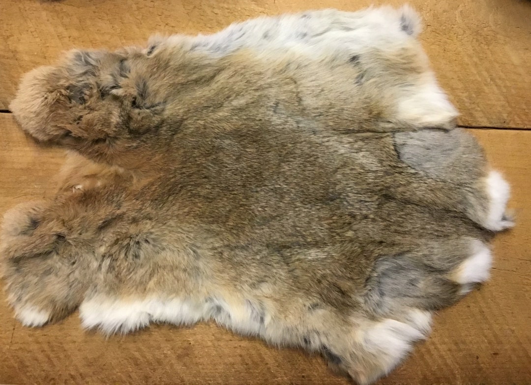 Soft Tanned Natural Hare Rabbit Pelt Etsy