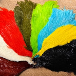 May include: A collection of colorful feathers in shades of red, white, brown, olive green, bright green, blue, yellow, and black. The feathers are arranged in a fan shape, showcasing their vibrant hues and soft textures. Ideal for crafting or decorative purposes.