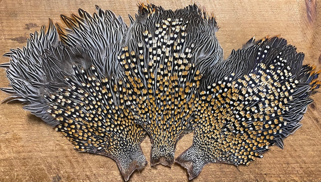 Jungle Cock Capes - Etsy