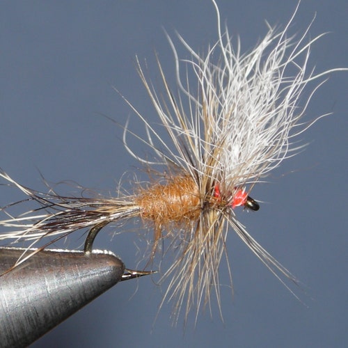 ジャングルコックのケープ Junglecock / ジャングルコック | Anglefield Fly Supplies