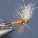 Mike Hogue