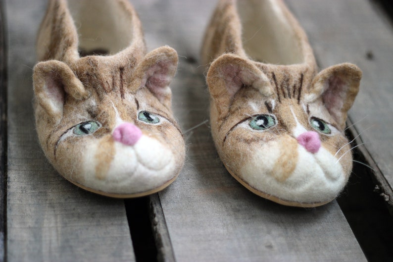 cat in slippers