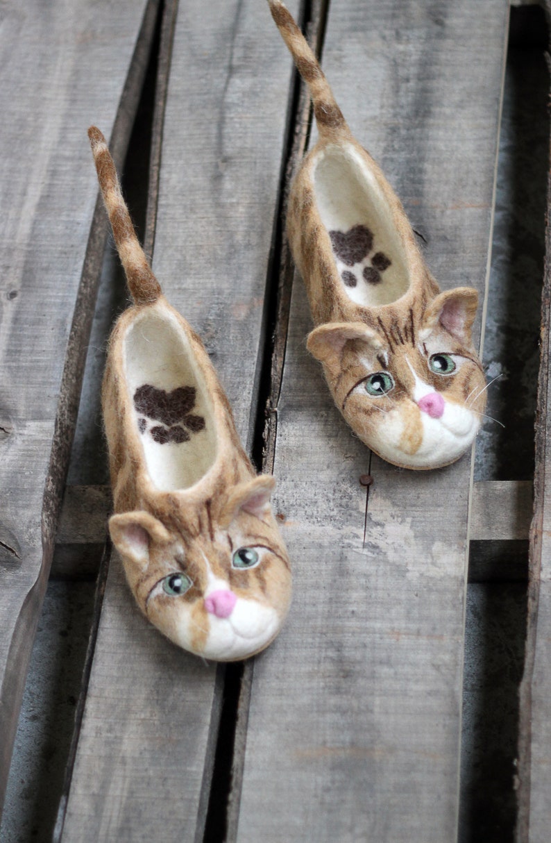 cat in slippers