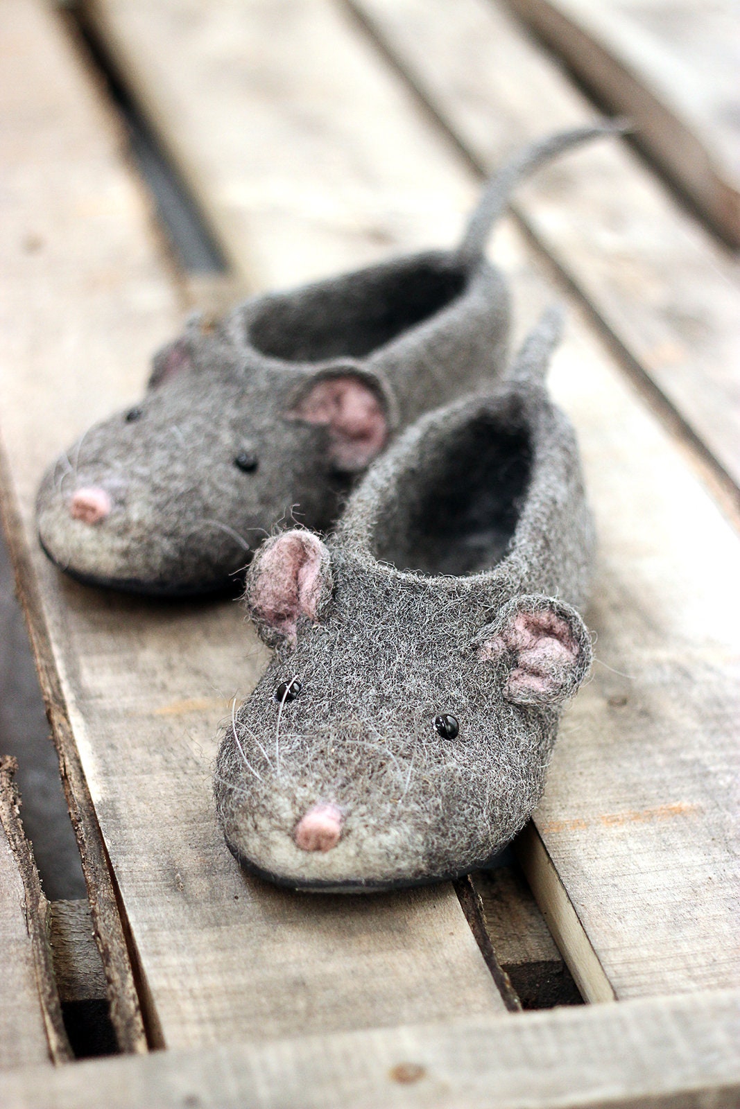 Lunars belt shop slippers
