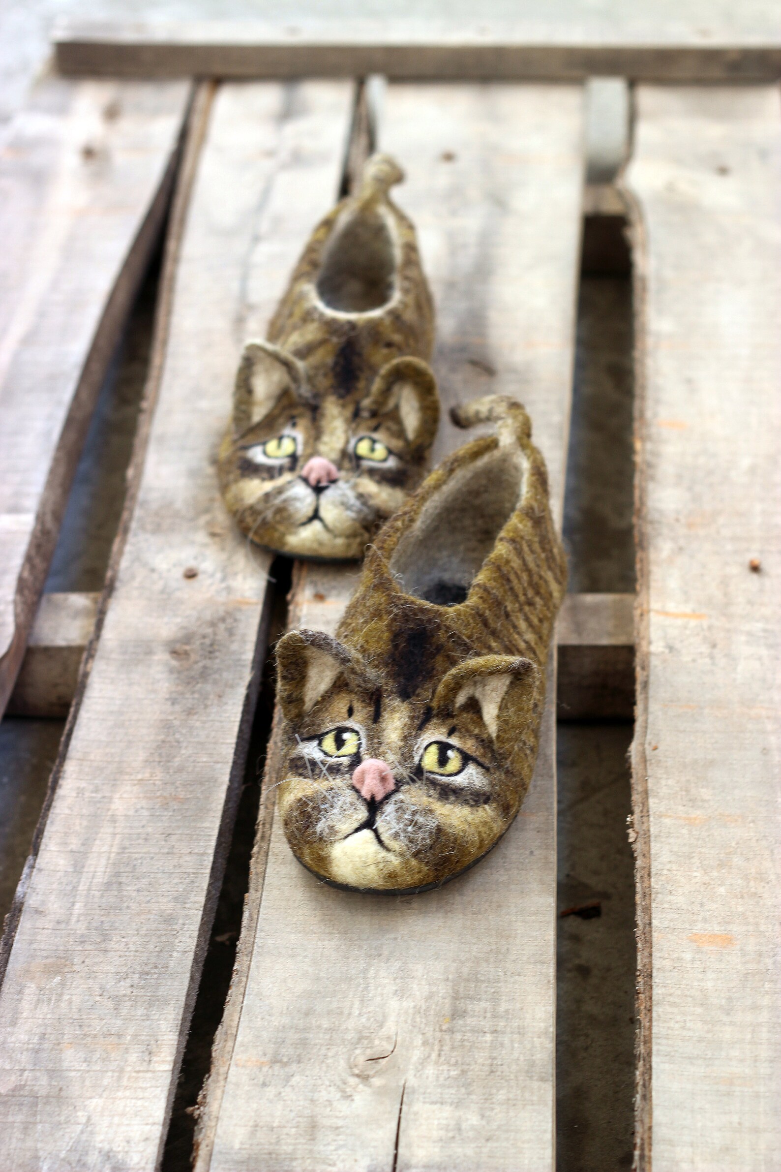 Premium Stripped Cat Slippers Mackerel Tabby Wild Cats Etsy