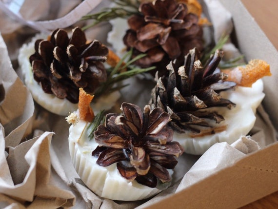 Deluxe Scented Fire Starter Logs PINE
