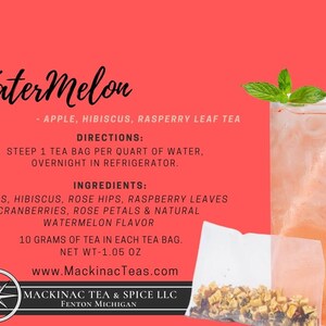 WATERMELON | Iced Teazers | 3- Cold Brew Quart sized Tea Bags