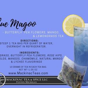 BLUE MAGOO | Iced Teazers | 3- Cold Brew Quart sized Tea Bags