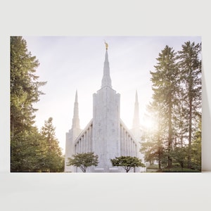 May include: A white, modern church with a tall spire and multiple smaller spires. The church is surrounded by green trees and the sun is shining brightly behind it.
