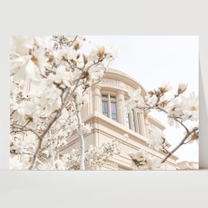 Spring Payson LDS Temple Photography Print with Magnolias