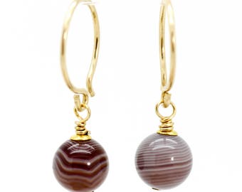 Botswana Agate earrings, Gold Agate earrings, small gold hoop earrings, Botswana agate gold earrings, Gold hoop earrings, Christmas gift