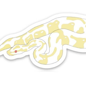 Albino Ball Python Sticker