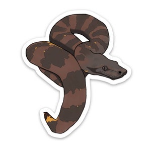 Viper Boa Sticker