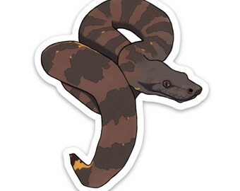 Viper Boa Sticker