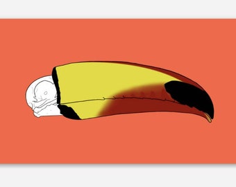 Toucan Skull Sticker