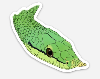 Rhinoceros Ratsnake Sticker