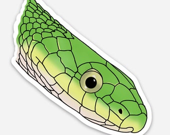 Rough Green Snake Sticker