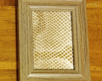 Real Mini Framed Classic Jungle Ball Python Shed