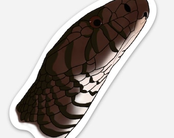 Eastern Indigo Snake Sticker