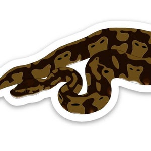 Ball Python Sticker