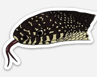 Black Kingsnake Sticker