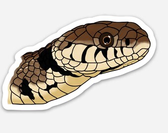 Barred Grass Snake Sticker
