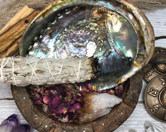 Grote Abalone Shell | Ceremonie Shell w / Optionele stand voor Smudging Sage, Palo Santo of Crystal Cleansing (5in &6in Opties)