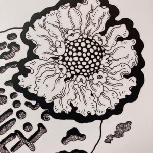 1000年にわたるシルトと花粉、ポストカード