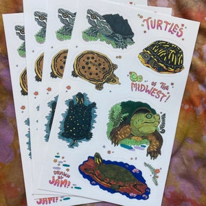 Pode incluir: Um conjunto de quatro adesivos com ilustrações coloridas de diferentes espécies de tartarugas. Os adesivos são impressos em papel branco e têm um acabamento brilhante. Os adesivos apresentam o texto "Turtles of the Midwest!" e "Drawn by Jam!"