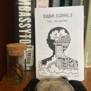 Brain School 3: The Re-Entry