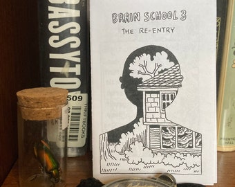 Escuela del Cerebro 3: El Reingreso