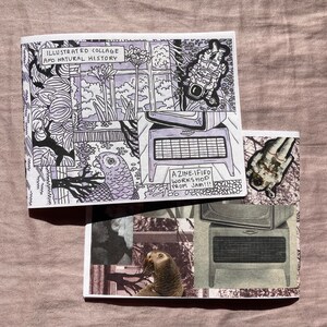 May include: Two black and white zines with illustrated covers. The top zine has a title that reads "Illustrated Collage and Natural History". The bottom zine has a title that reads "A Zine-ified Workshop from JAM!!".