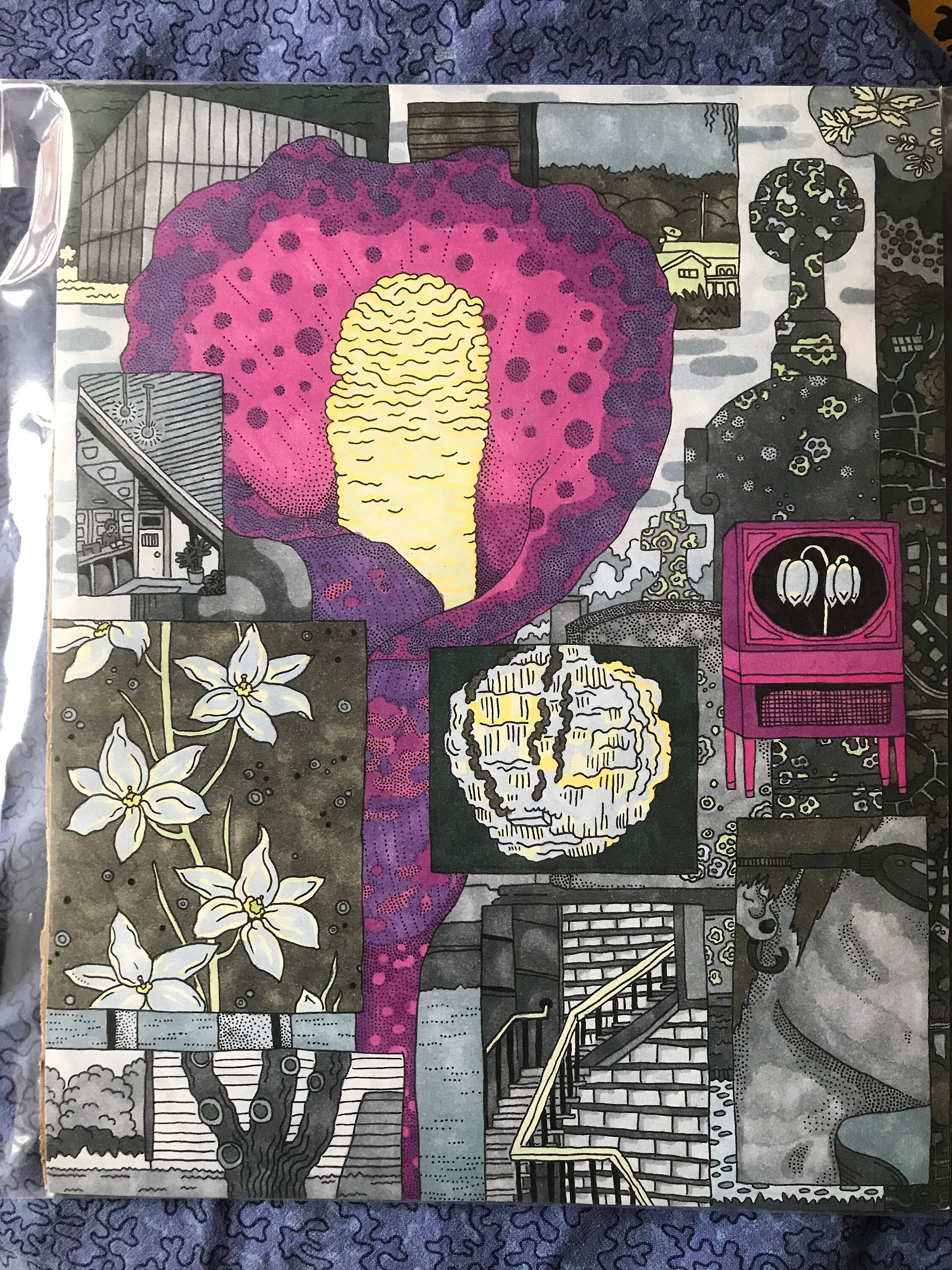 Swamp Lantern Grotto Digital Print | Etsy