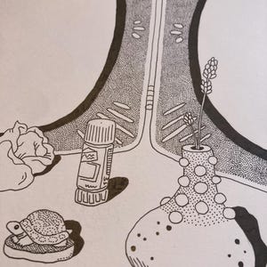 Puede incluir: Ilustraci&oacute;n en tinta negra y blanca que presenta una peque&ntilde;a tortuga, una barra de pegamento y un jarr&oacute;n con una ramita de flores. El jarr&oacute;n tiene un patr&oacute;n de puntos. La obra de arte est&aacute; detallada con punteado.