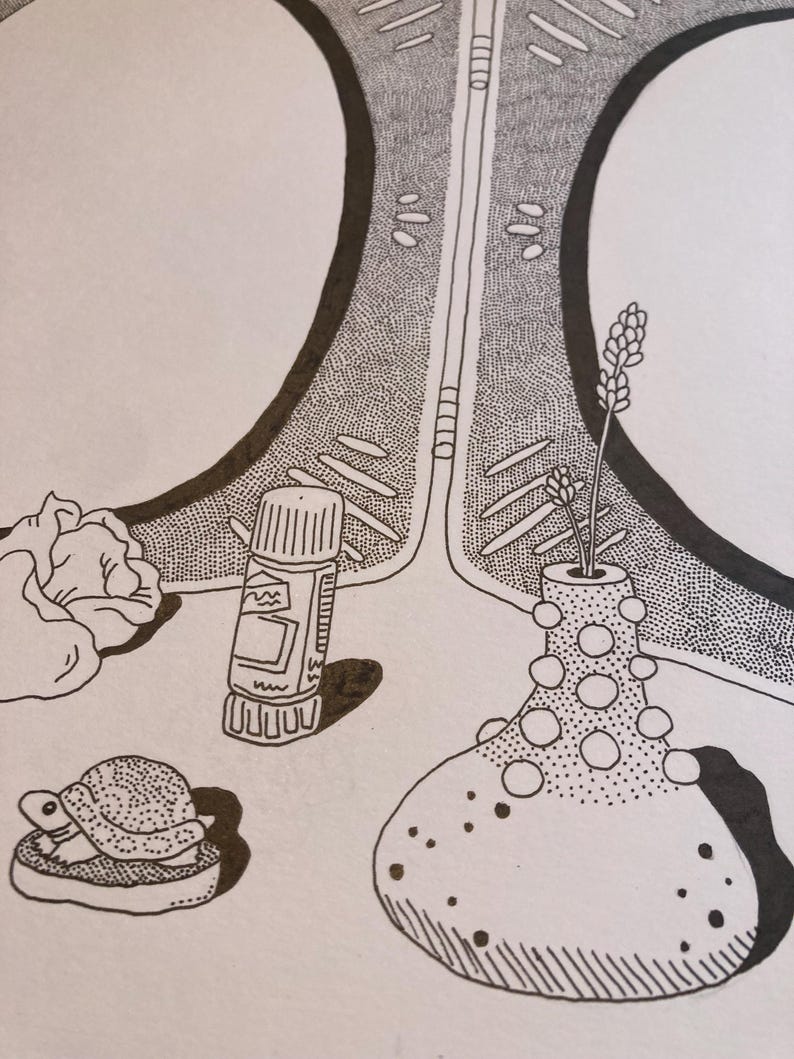 Puede incluir: Ilustraci&oacute;n en tinta negra y blanca que presenta una peque&ntilde;a tortuga, una barra de pegamento y un jarr&oacute;n con una ramita de flores. El jarr&oacute;n tiene un patr&oacute;n de puntos. La obra de arte est&aacute; detallada con punteado.