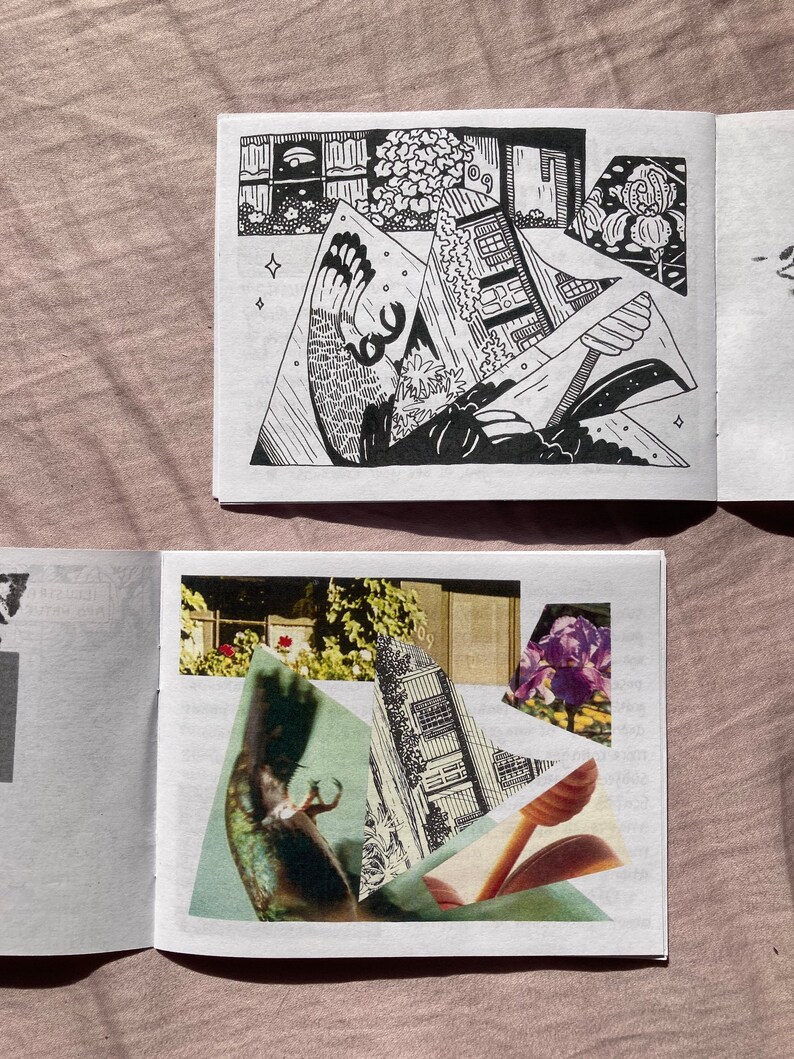 May include: A black and white illustration of a house with a window and a garden. The illustration is cut out and layered on top of a photo of a hummingbird in flight. The photo is on a white background.