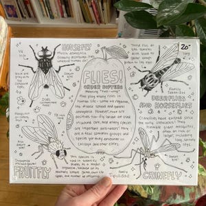 Flies of Chicago Print