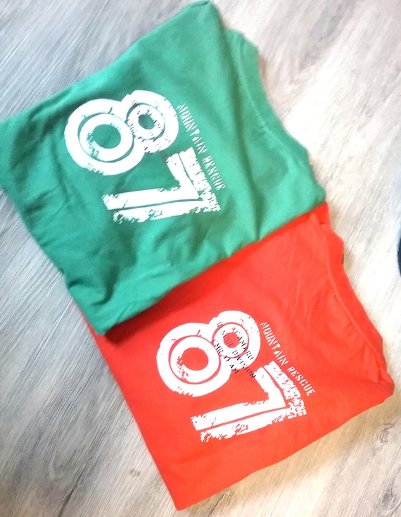 Sale 30% Pulli, Langarmshirt, Doppelarm, Rescue Division 87, Rücken, orange+ grün, Baumwolle, Boys, Männer, Jungen, Camaro, Vintage