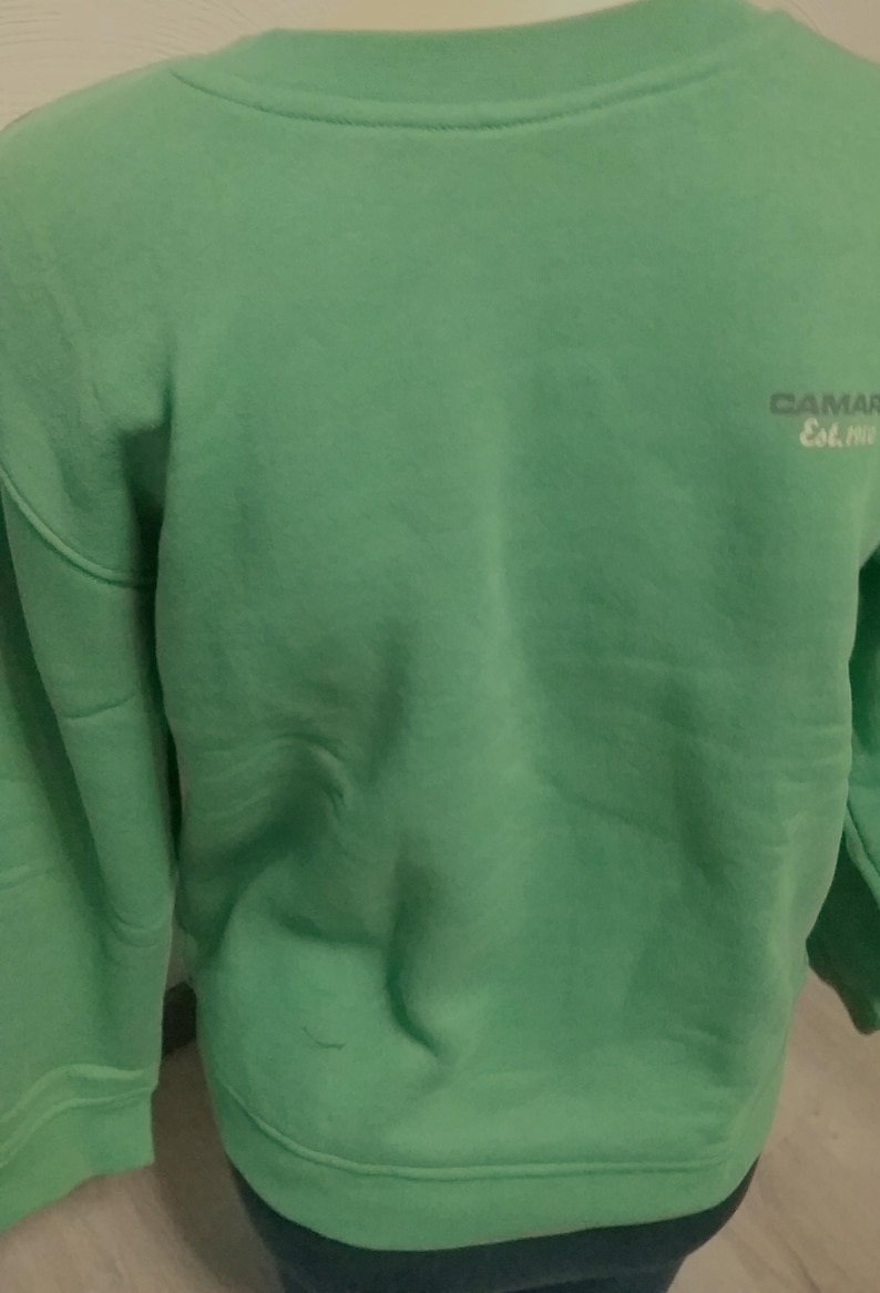 Sale 30% Sweater, sweatshirt, graphic- small LOGO frontside, plain green, cotton, polyester, adult, gender, Camaro, vintage image 2
