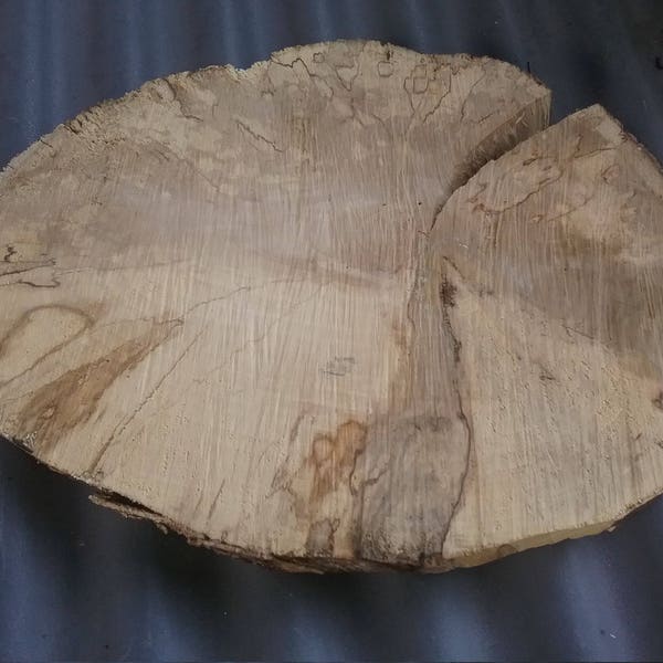 Baumscheibe Hainbuche wie gewachsen tolle Zeichnung einzigartig Holzscheibe Brett Bastelholz naturbelassen Dekoration Unikate selbst gesägt