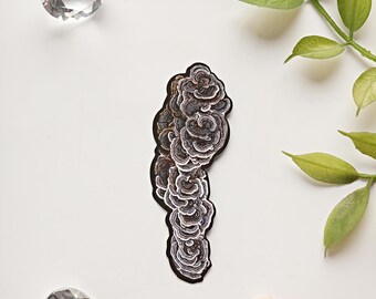 Mushroom Art Sticker of Turkey Tail from Neilltown, Pennsylvania